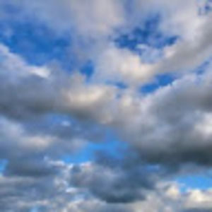 Meet your Posher, Caren maxine